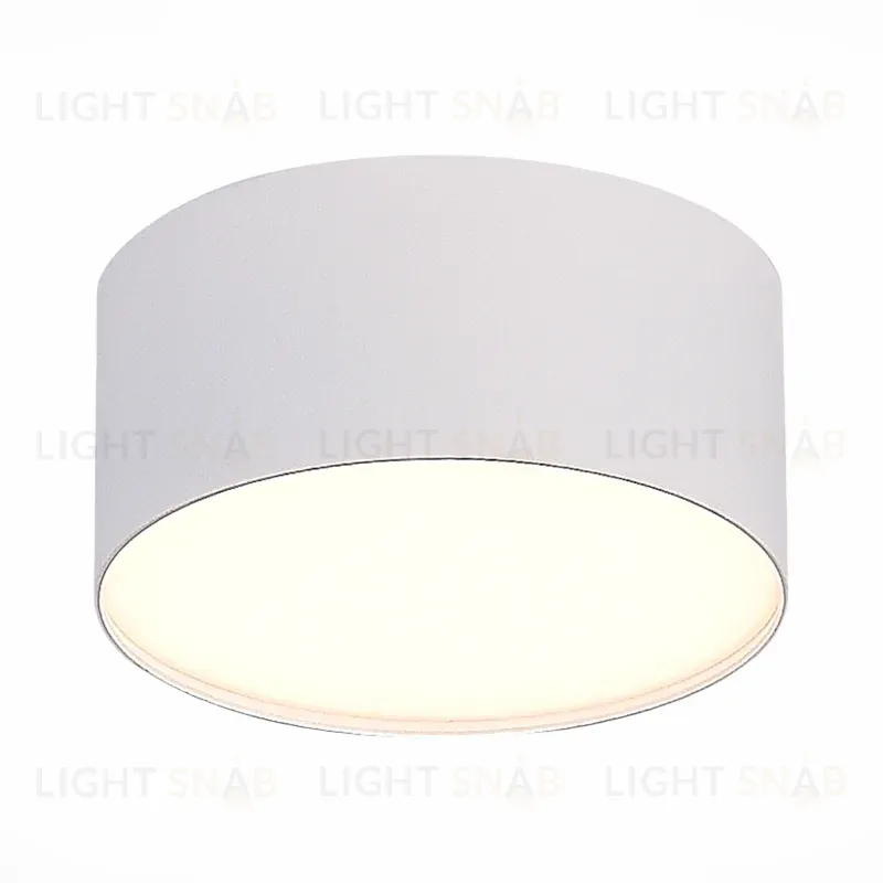 Накладной светильник ST Luce ST606.532.12 ST606.532.12