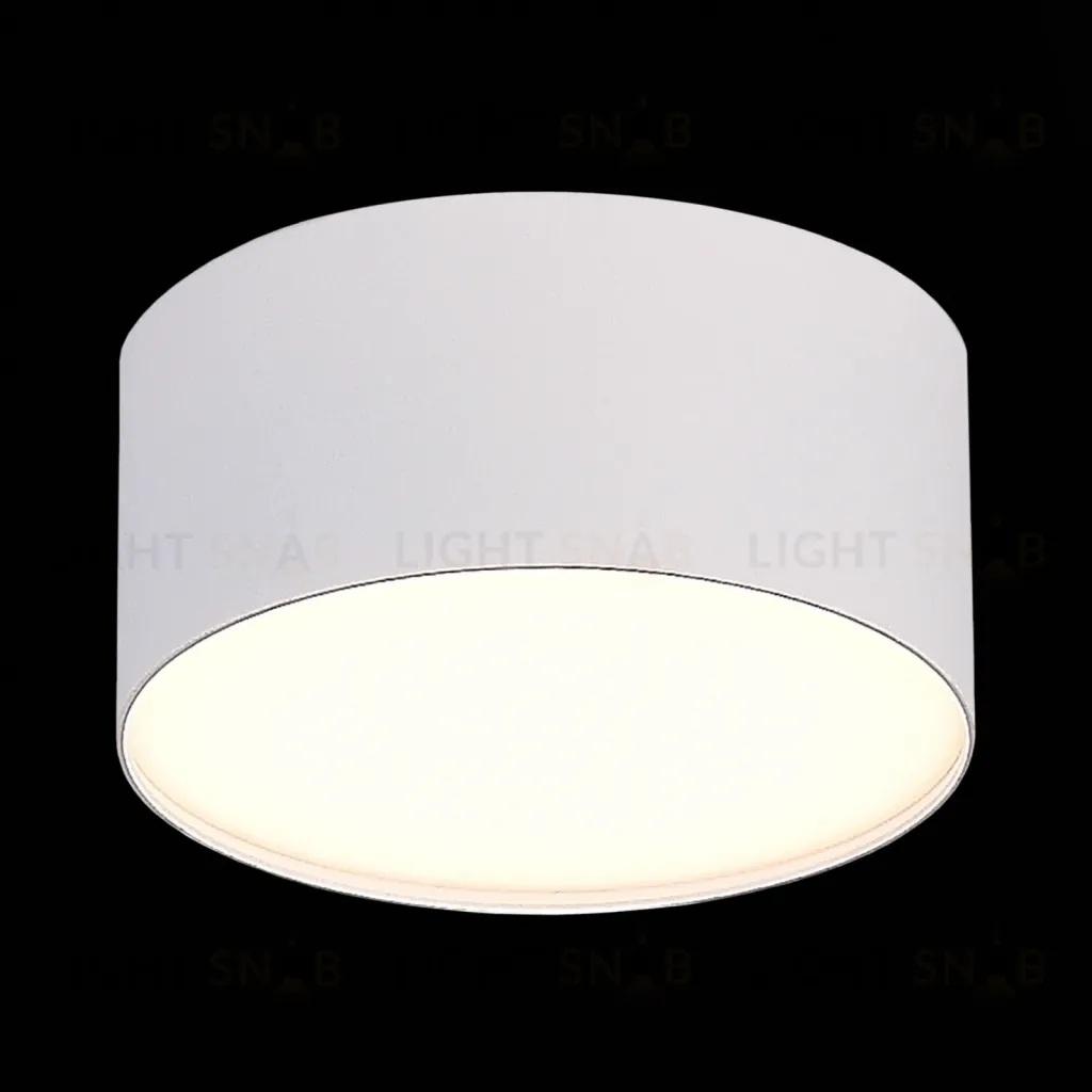 Накладной светильник ST Luce ST606.532.12 ST606.532.12