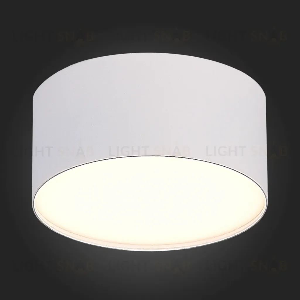 Накладной светильник ST Luce ST606.532.12 ST606.532.12