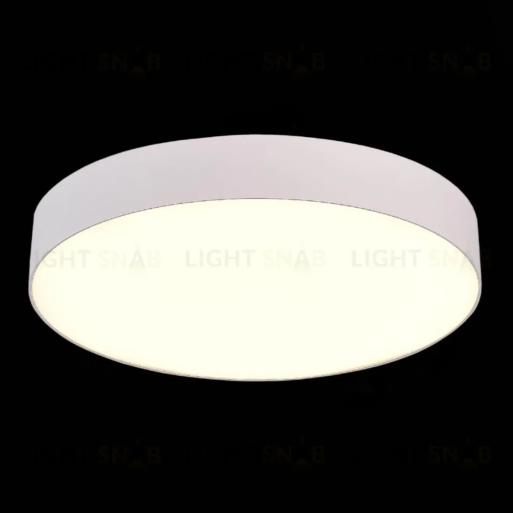 Потолочный светильник ST Luce ST606.532.48 ST606.532.48