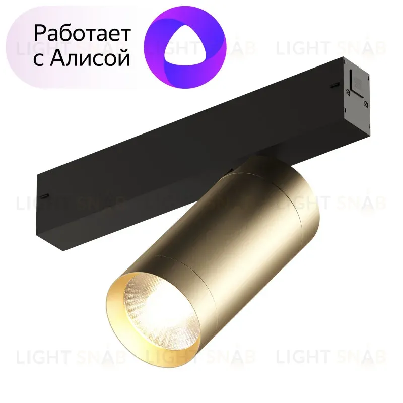 Трековый светильник Denkirs Smart Spot DK8020-BG DK8020-BG