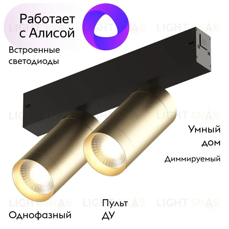 Трековый светильник Denkirs Smart DK8012-BG DK8012-BG