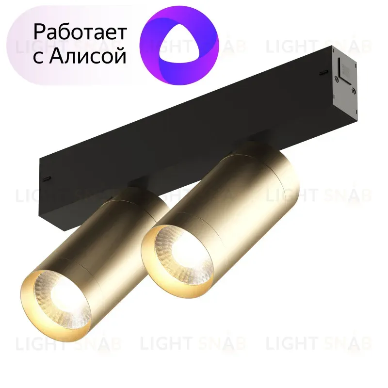 Трековый светильник Denkirs Smart DK8012-BG DK8012-BG