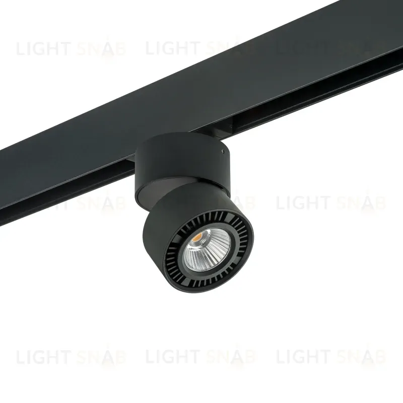 Трековый светильник Lightstar Forte Muro PRO213817 (595061+213817) PRO213817