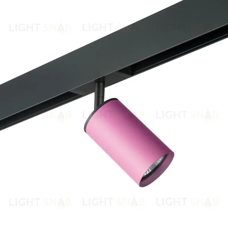 Трековый светильник Lightstar Rullo PRO432 (214432+595057) PRO432
