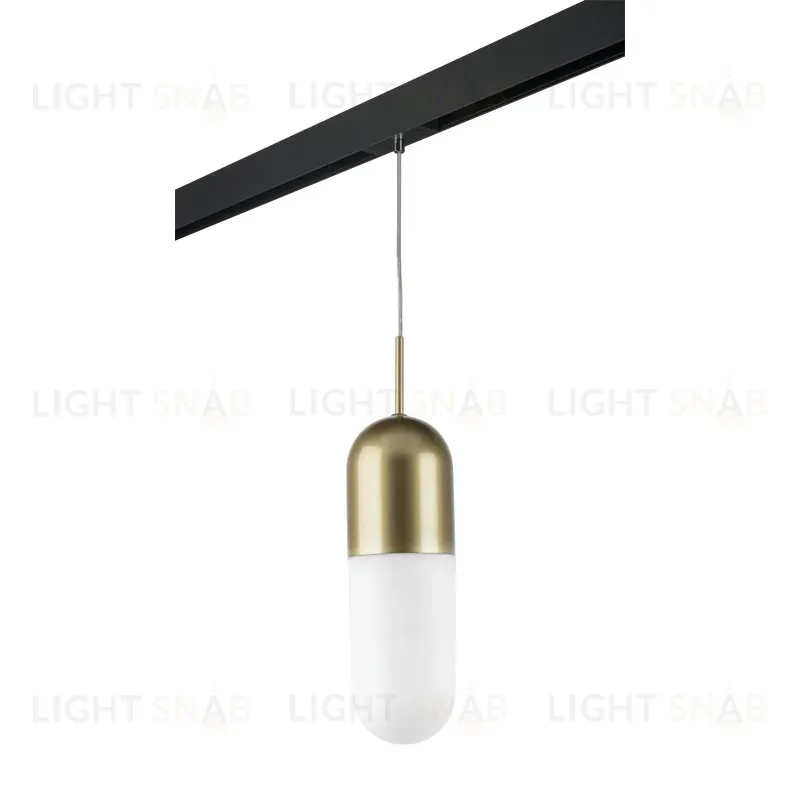 Трековый светильник Lightstar Ramo PRO690113 (690113+595007) PRO690113