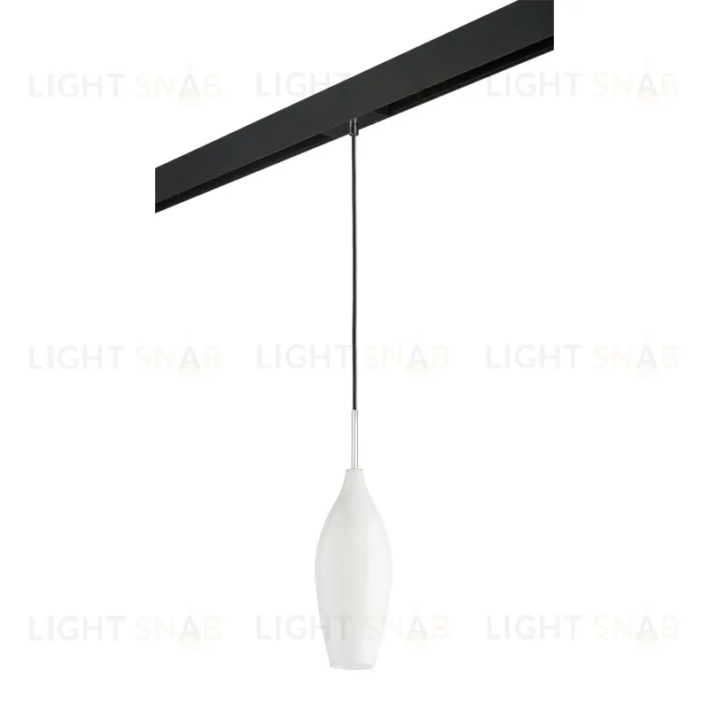 Трековый светильник Lightstar Pentola PRO803020 (803020+595007) PRO803020