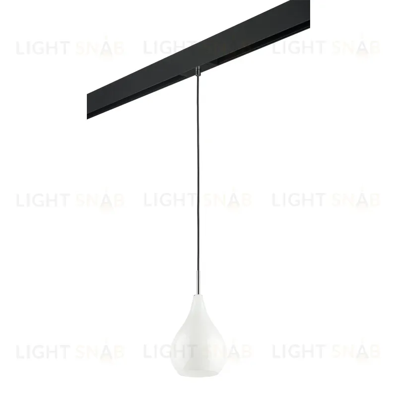 Трековый светильник Lightstar Pentola PRO803030 (803030+595007) PRO803030