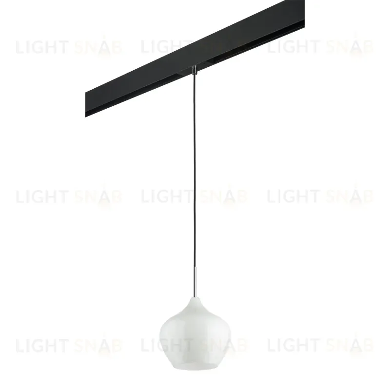 Трековый светильник Lightstar Pentola PRO803040 (803040+595007) PRO803040