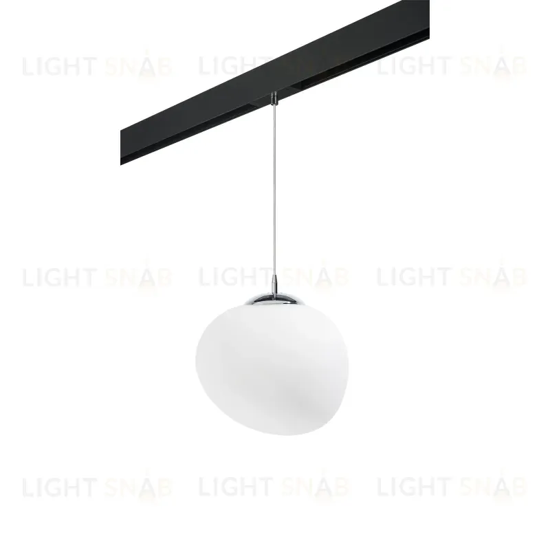 Трековый светильник Lightstar Arnia PRO805016 (805016+595007) PRO805016