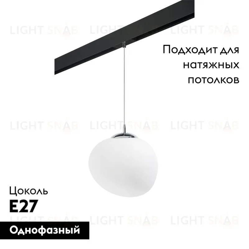 Трековый светильник Lightstar Arnia PRO805016 (805016+595007) PRO805016