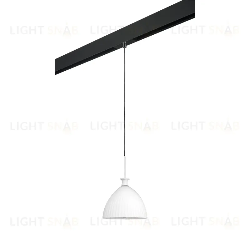 Трековый светильник Lightstar Agola PRO810020 (810020+595007) PRO810020