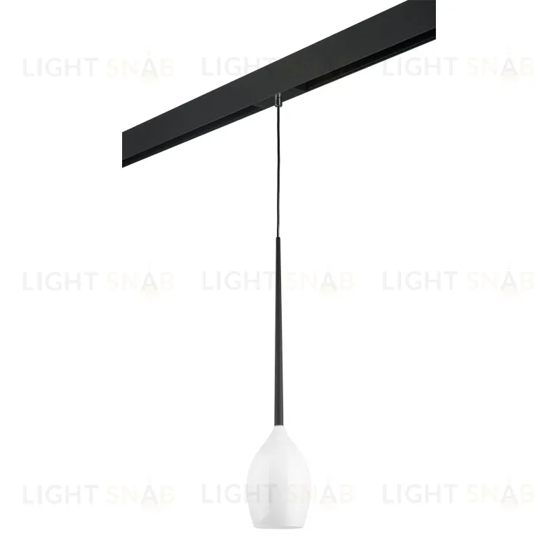 Трековый светильник Lightstar Meta d'uovo PRO807110 (807110+595007) PRO807110