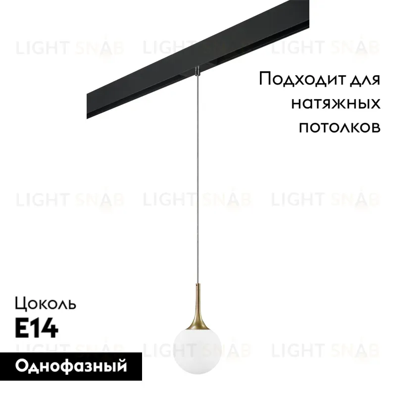Трековый светильник Lightstar Globo PRO813012 (813012+595007) PRO813012