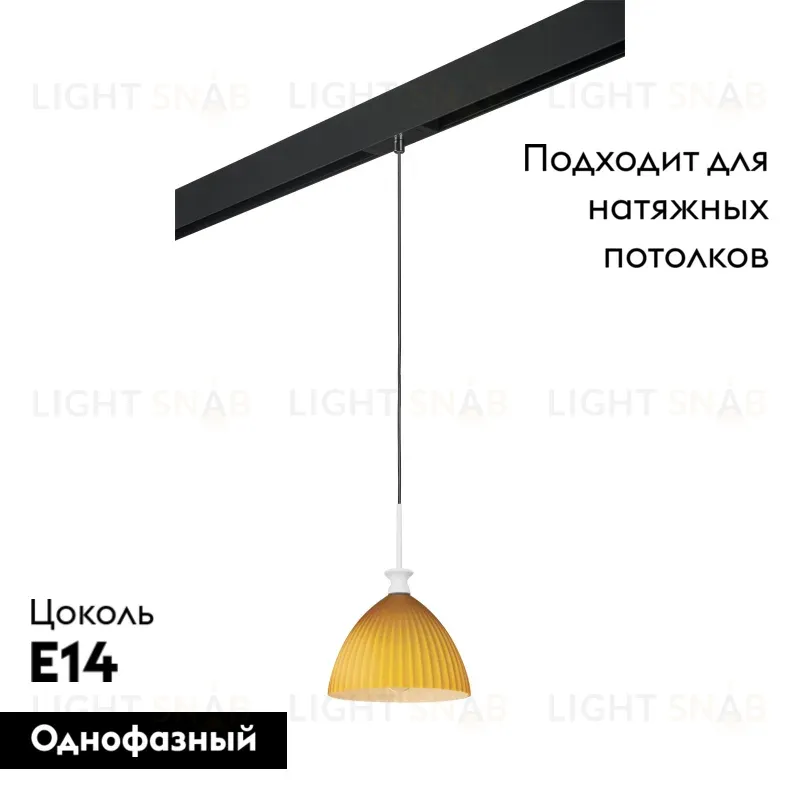 Трековый светильник Lightstar Agola PRO810023 (810023+595007) PRO810023