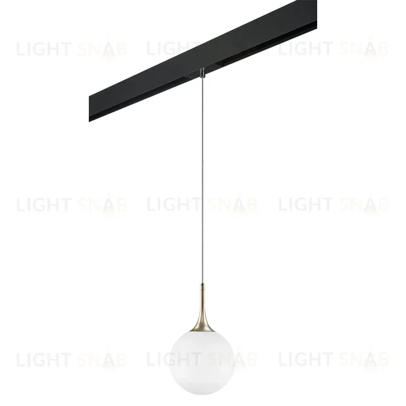 Трековый светильник Lightstar Globo PRO813023 (813023+595007) PRO813023