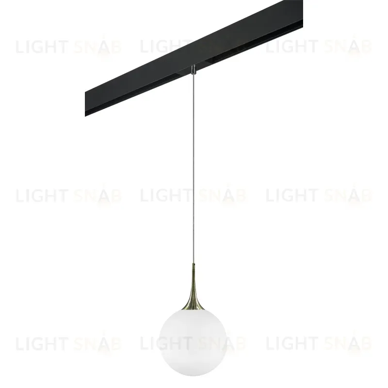 Трековый светильник Lightstar Globo PRO813031 (813031+595007) PRO813031