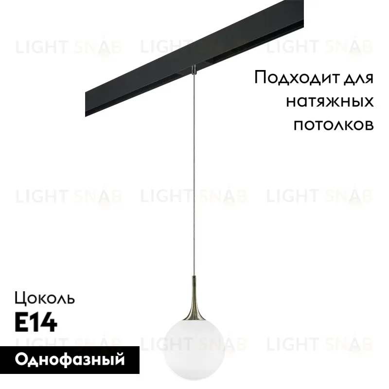 Трековый светильник Lightstar Globo PRO813021 (813021+595007) PRO813021