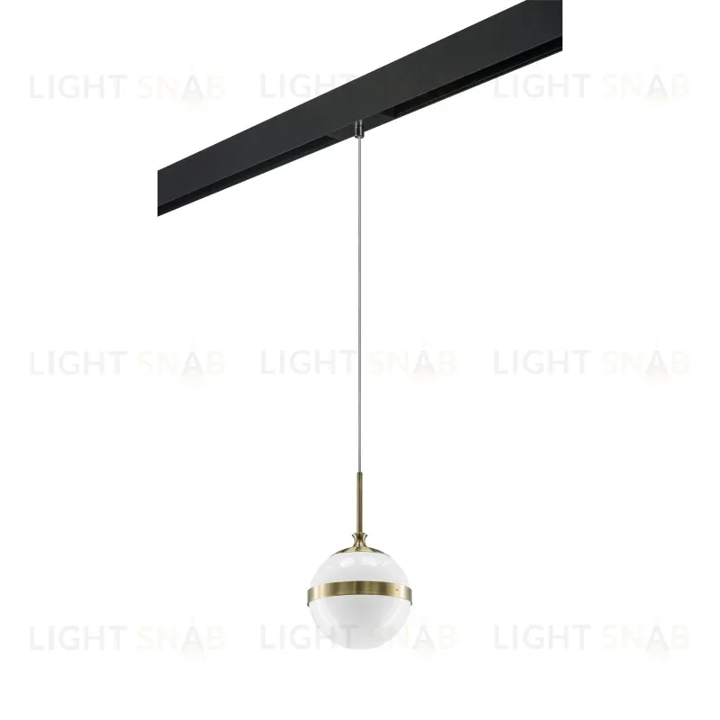 Трековый светильник Lightstar Globo PRO813111 (813111+595007) PRO813111