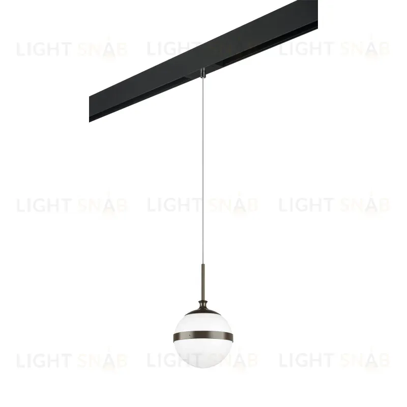 Трековый светильник Lightstar Globo PRO813117 (813117+595007) PRO813117