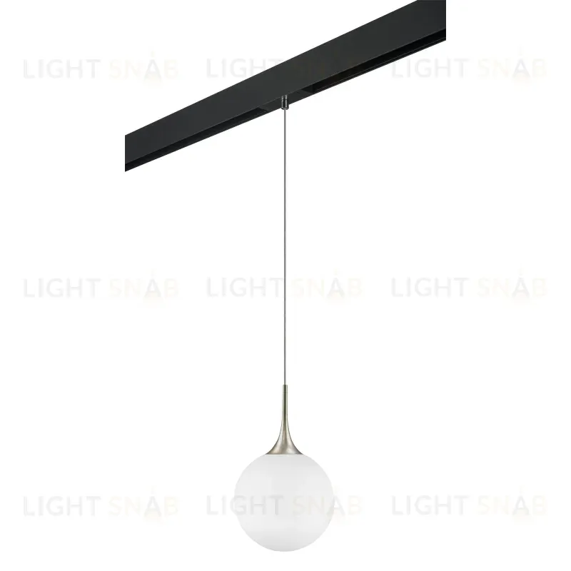 Трековый светильник Lightstar Globo PRO813033 (813033+595007) PRO813033