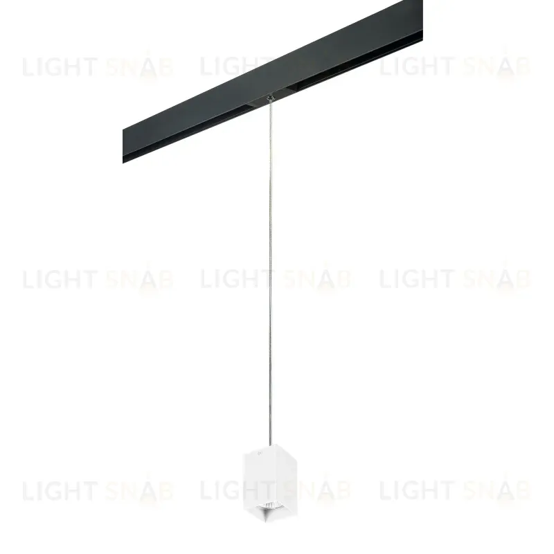 Трековый светильник Lightstar Rullo PRORP336 (216336+595957) PRORP336