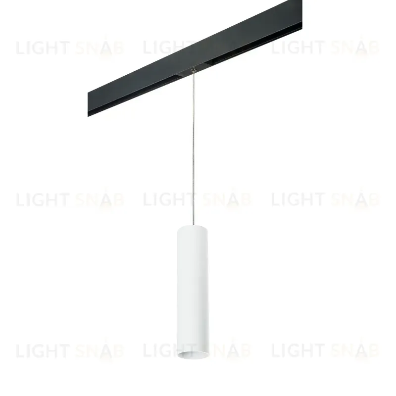 Трековый светильник Lightstar Rullo PRORP496 (214496+595857) PRORP496