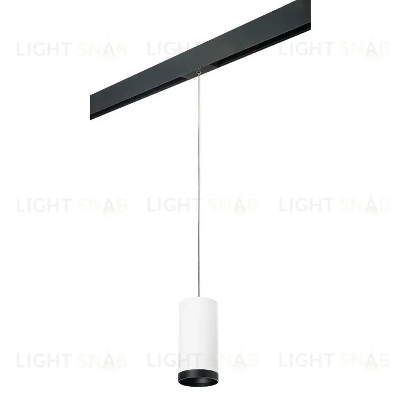 Трековый светильник Lightstar Rullo PRORP64863487 (216486+595887+203487) PRORP64863487