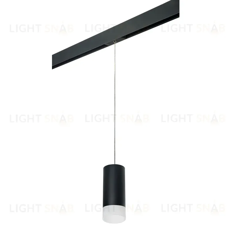 Трековый светильник Lightstar Rullo PRORP648781 (216487+595887+202481) PRORP648781