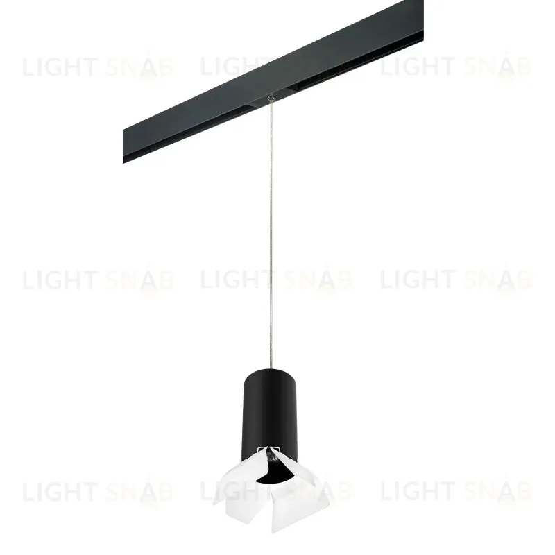 Трековый светильник Lightstar Rullo PRORP6487486 (216487+595887+202486) PRORP6487486