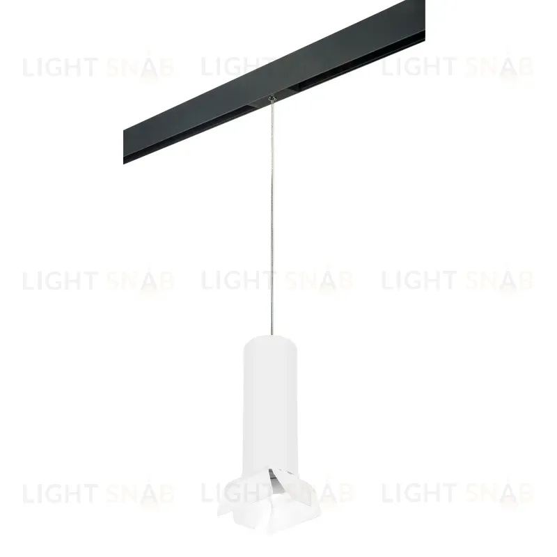 Трековый светильник Lightstar Rullo PRORP6496486 (216496+595887+202486) PRORP6496486