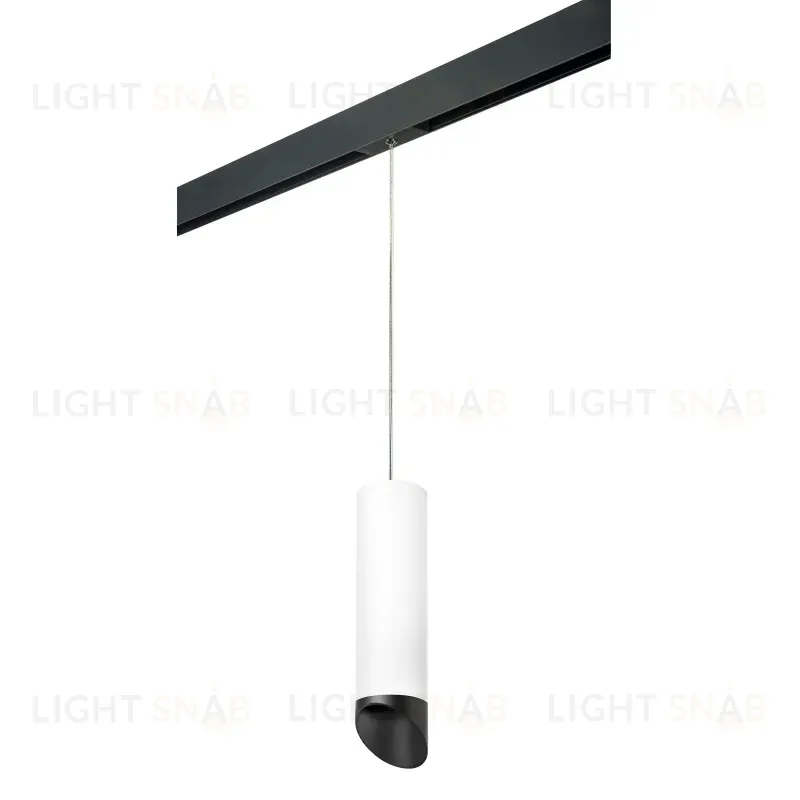 Трековый светильник Lightstar Rullo PRORP649687 (216496+595887+201487) PRORP649687