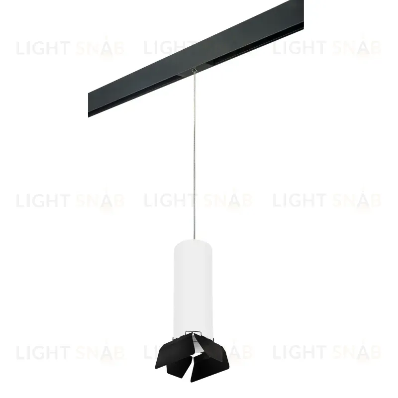Трековый светильник Lightstar Rullo PRORP6496487 (216496+595887+202487) PRORP6496487