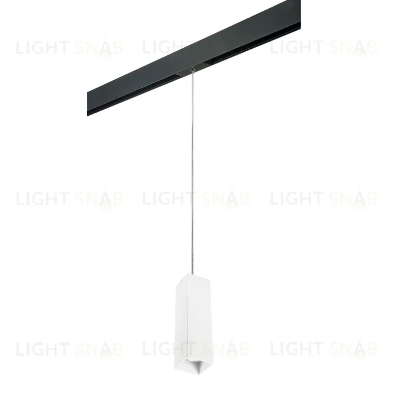 Трековый светильник Lightstar Rullo PRORP6596 (216596+595987) PRORP6596