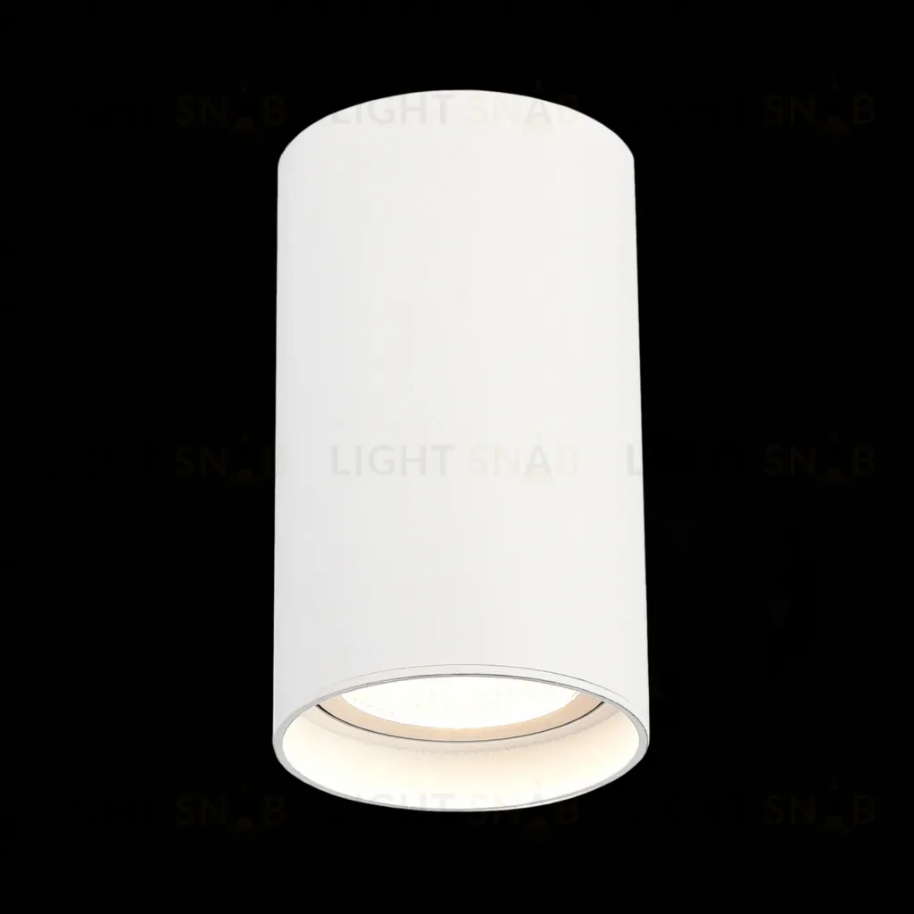 Накладной светильник ST Luce ST157.532.20 ST157.532.20