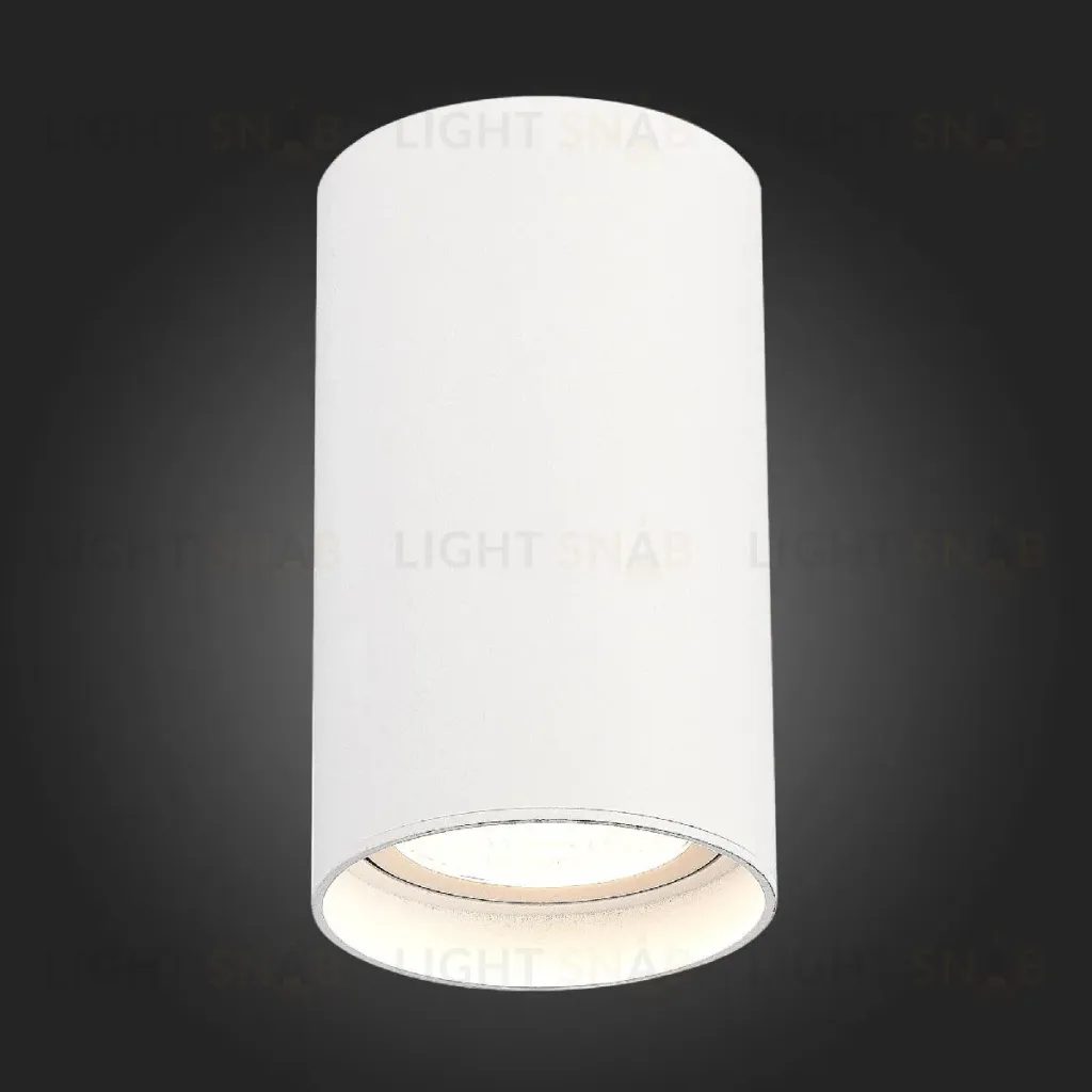 Накладной светильник ST Luce ST157.542.20 ST157.542.20