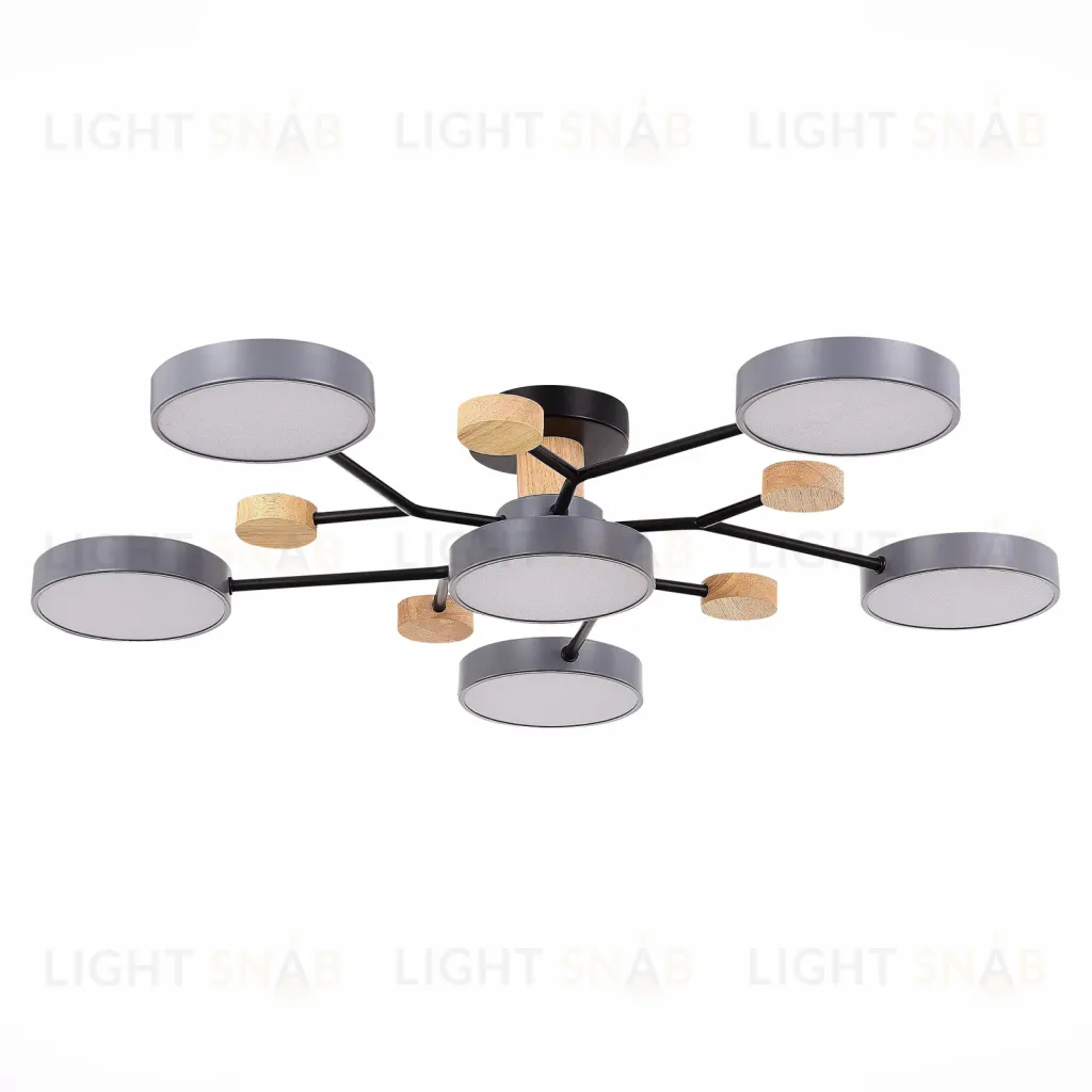 Люстра на штанге Evoluce Faema SLE6006-702-06 SLE6006-702-06