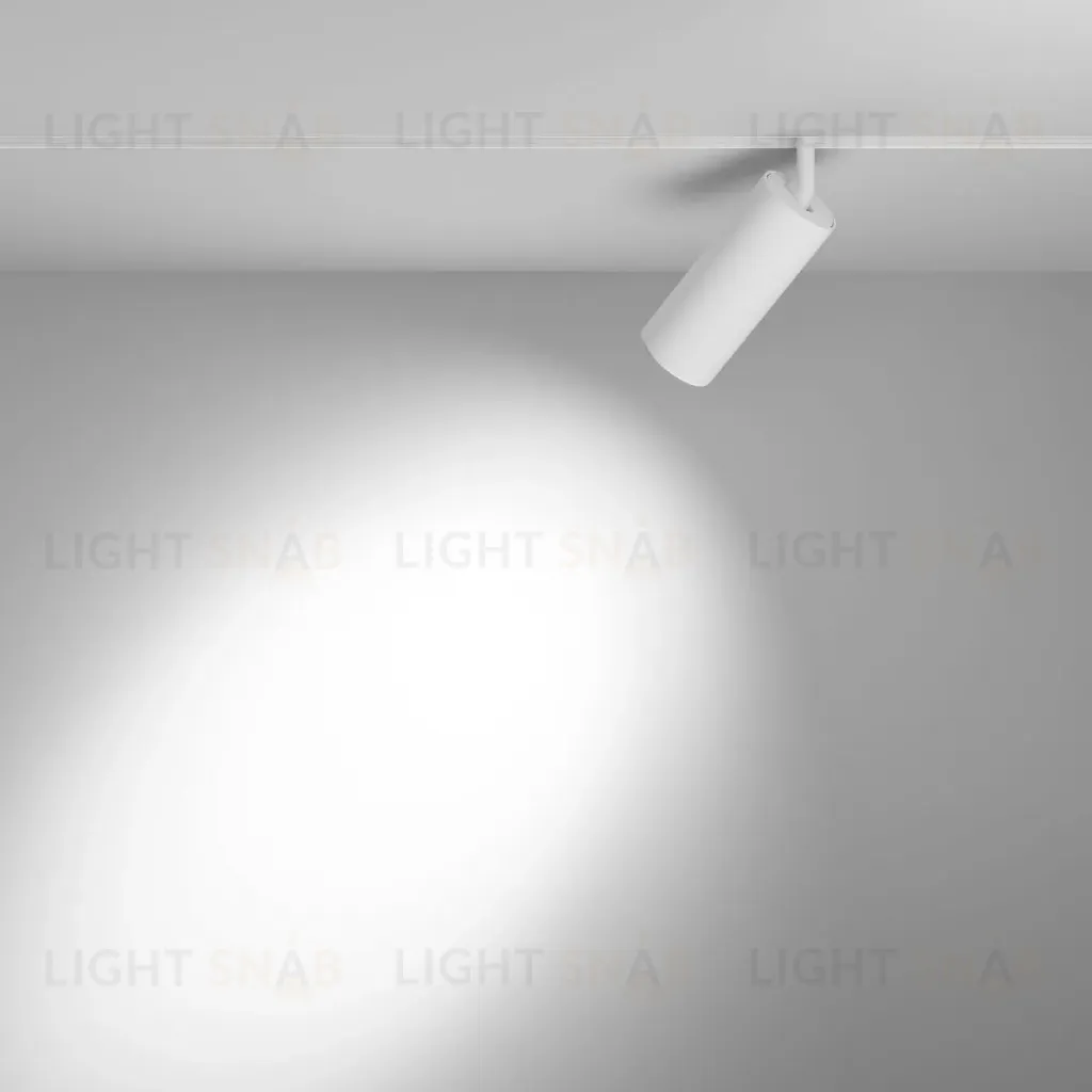 Трековый магнитный светильник Maytoni Focus LED TR032-2-20W4K-S-W TR032-2-20W4K-S-W