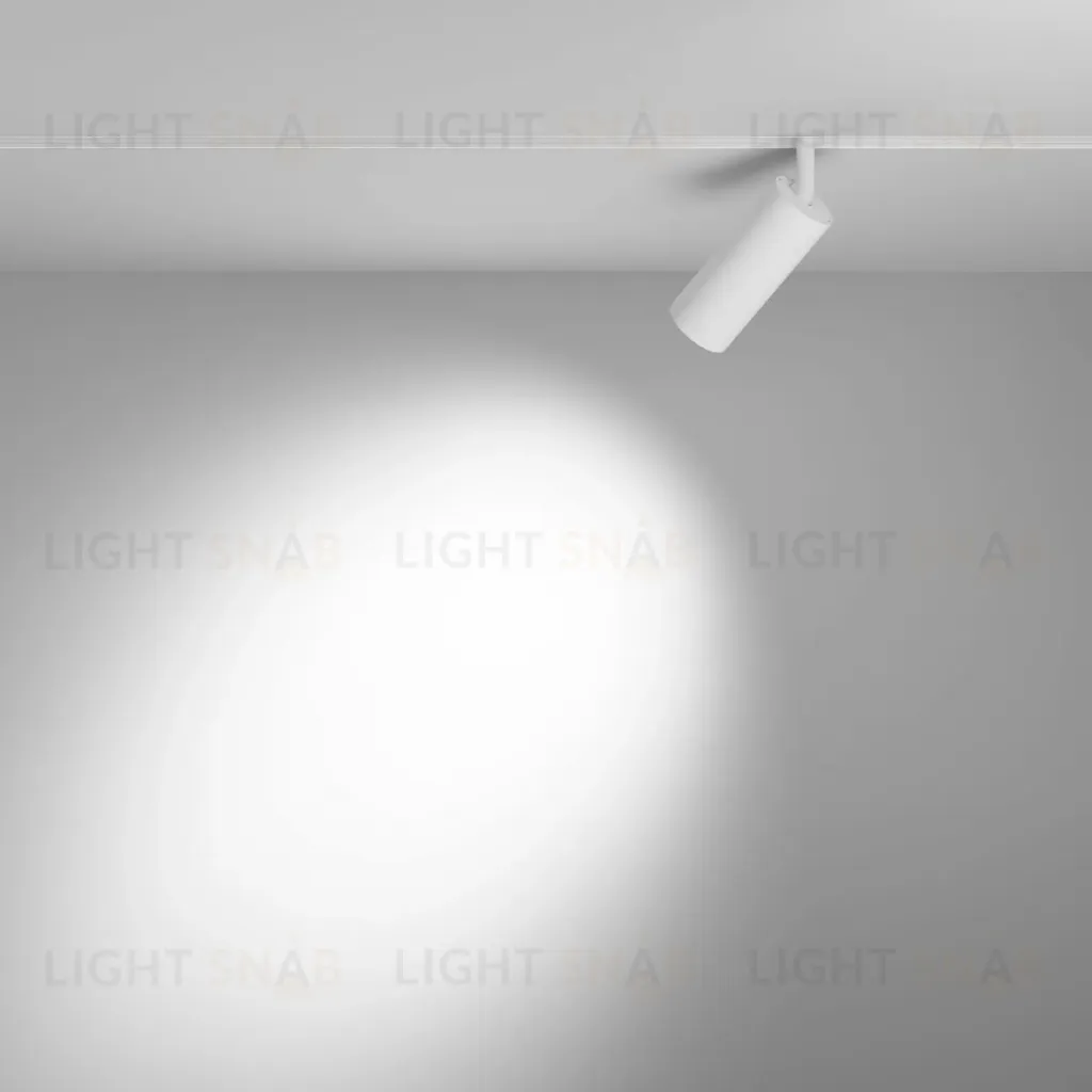Трековый магнитный светильник Maytoni Focus LED TR032-2-12W3K-S-W TR032-2-12W3K-S-W
