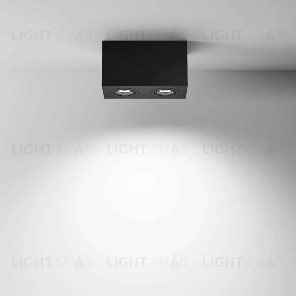Накладной светильник Maytoni Atom C017CL-02B C017CL-02B
