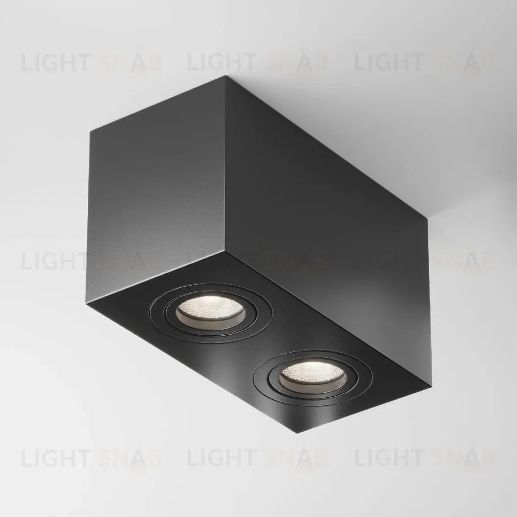 Накладной светильник Maytoni Atom C017CL-02B C017CL-02B