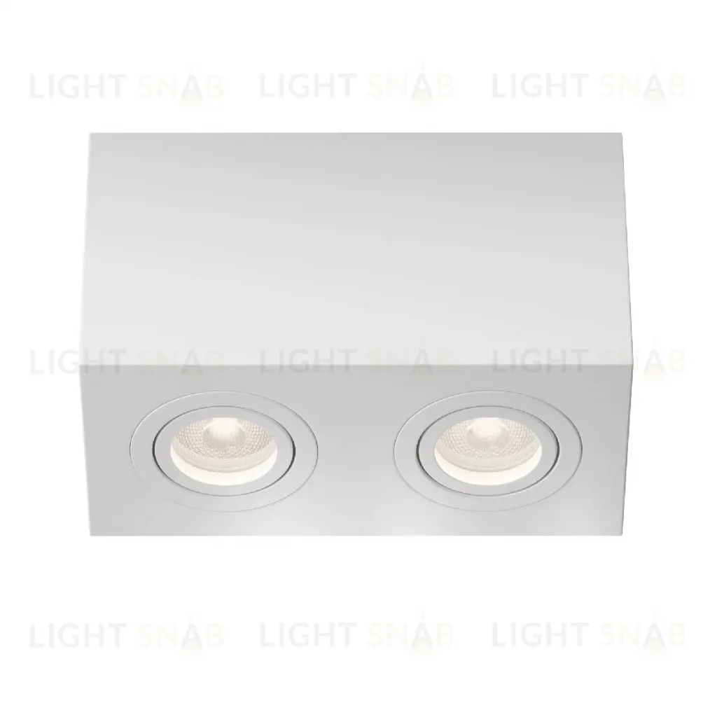 Накладной светильник Maytoni Atom C017CL-02W C017CL-02W
