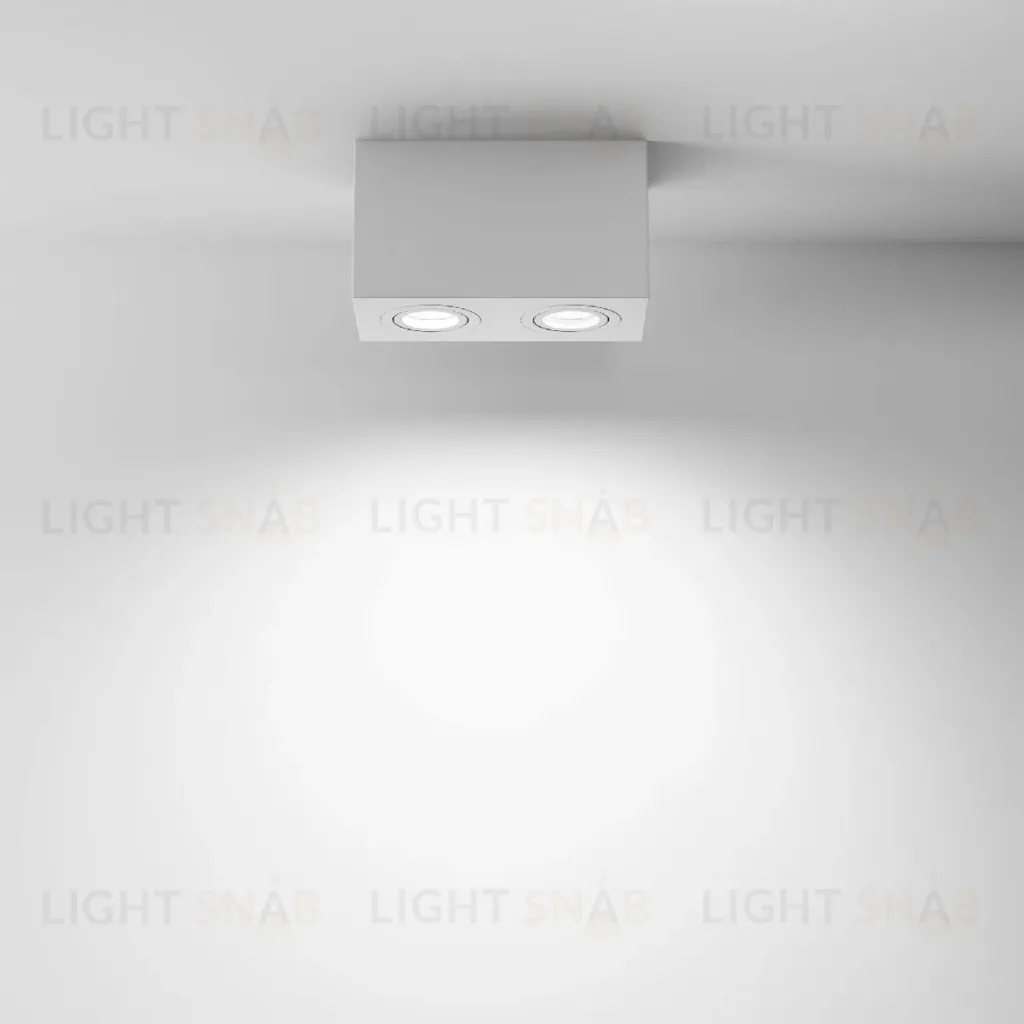 Накладной светильник Maytoni Atom C017CL-02W C017CL-02W