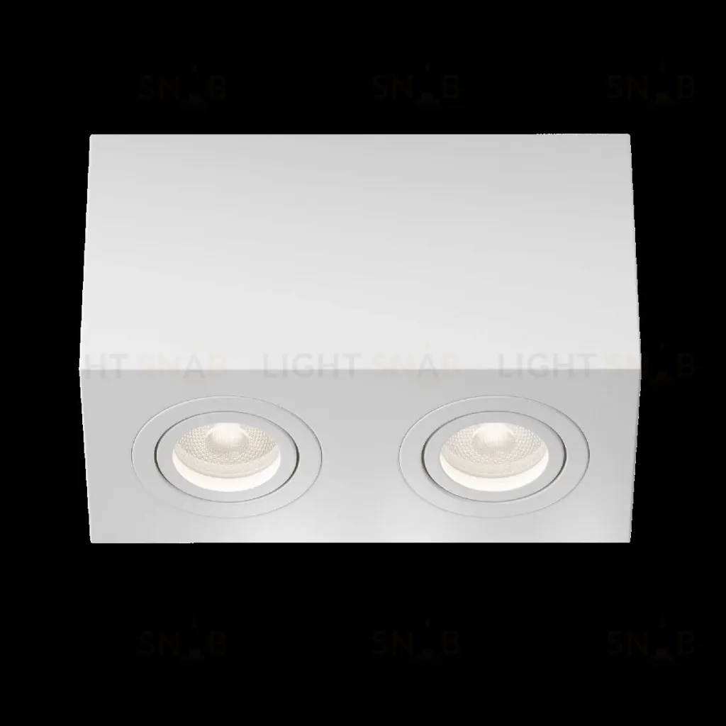 Накладной светильник Maytoni Atom C017CL-02W C017CL-02W
