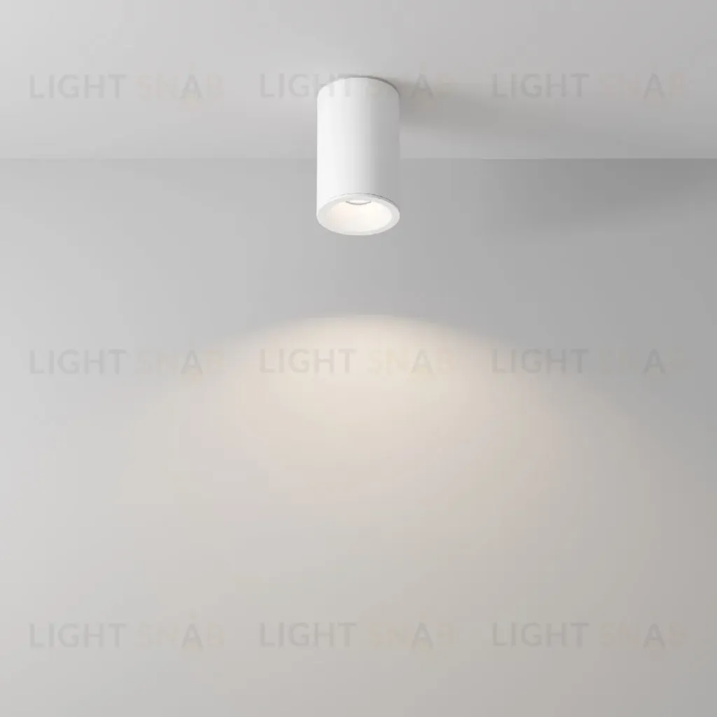 Накладной светильник Maytoni Zoom C029CL-01-S-W C029CL-01-S-W