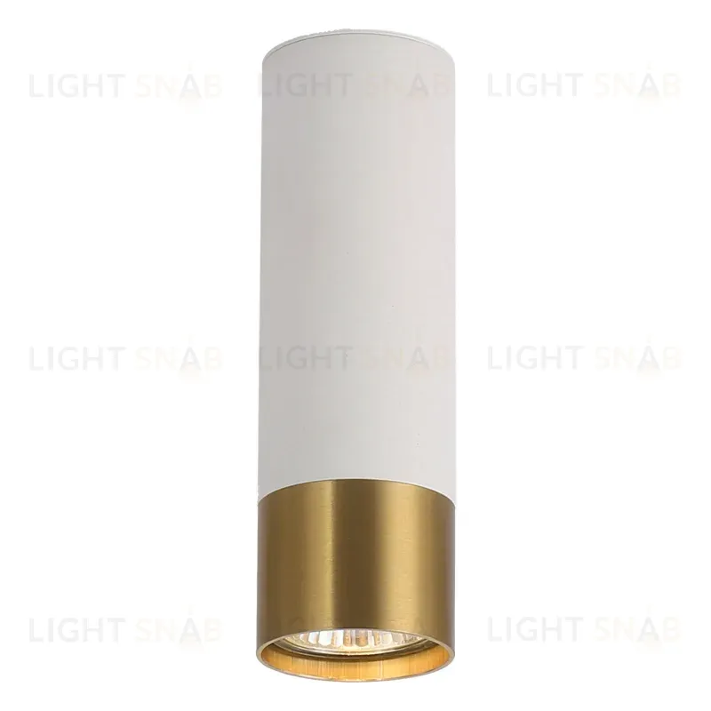 Накладной светильник Lussole Gilbert LSP-8831 LSP-8831