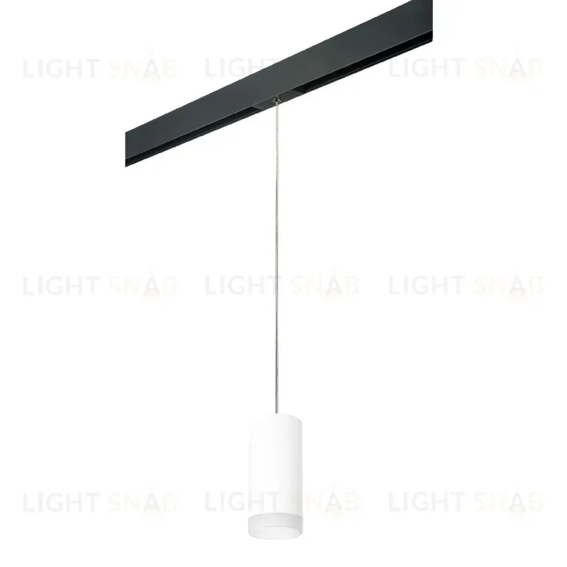 Трековый однофазный светильник Lightstar Rullo (216487+595887+202480) PRORP648780 PRORP648780