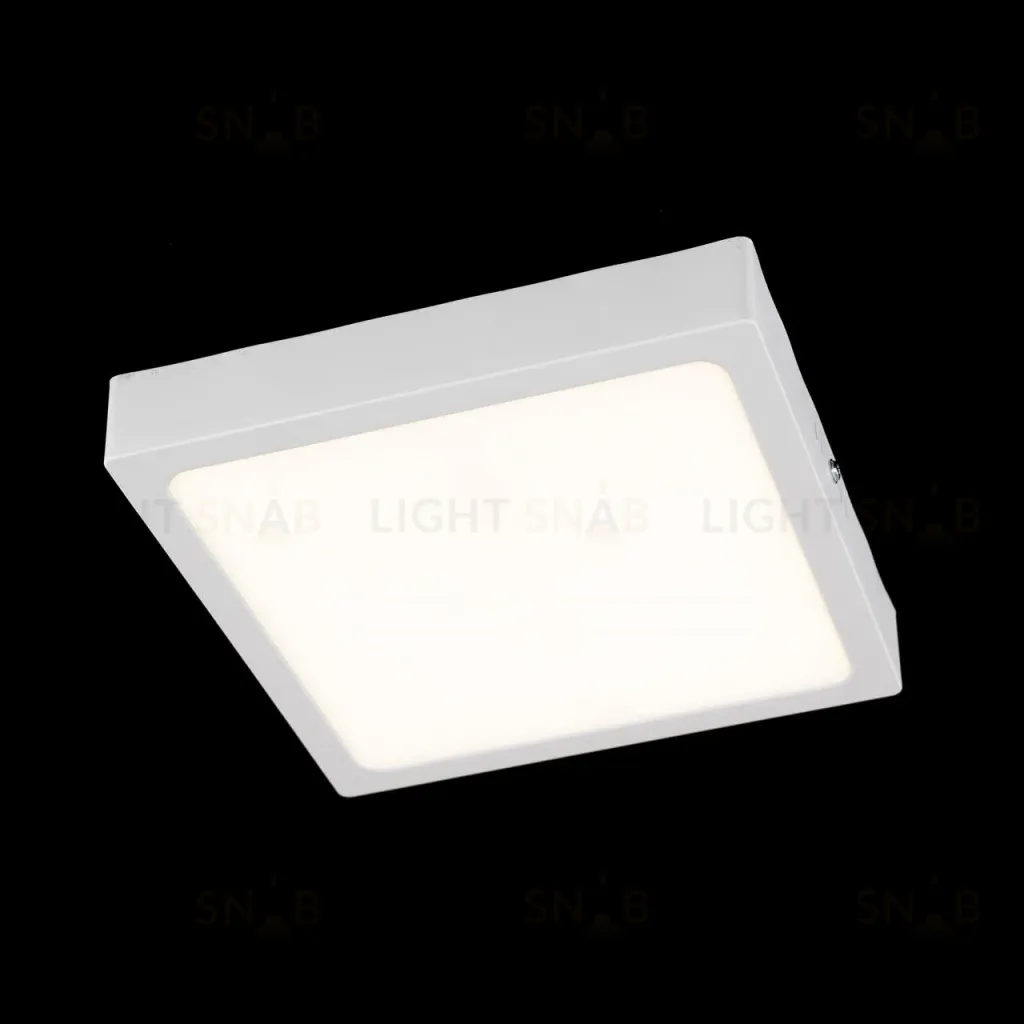 Накладной светильник Citilux Галс CL55K22N CL55K22N