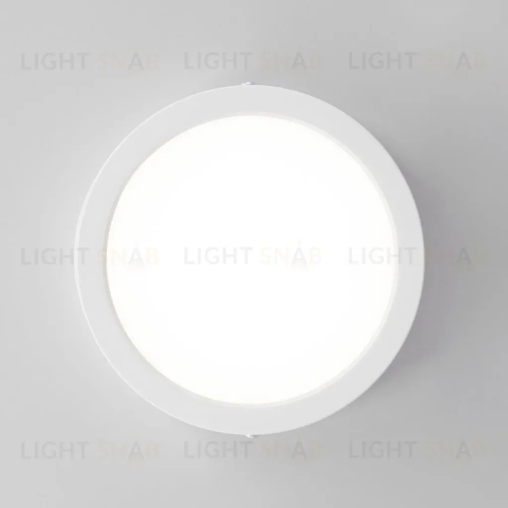 Накладной светильник Citilux Галс CL5516N CL5516N
