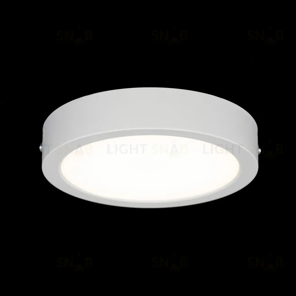 Накладной светильник Citilux Галс CL5516N CL5516N